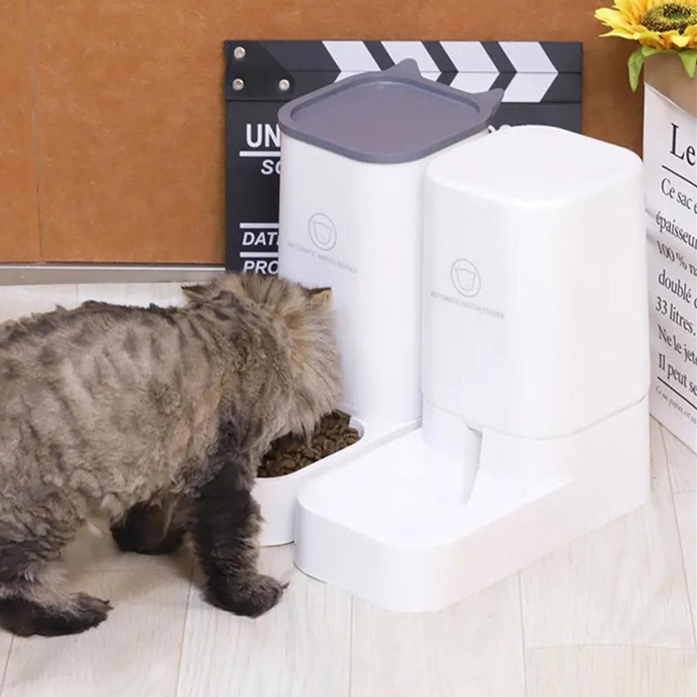 PETSWOL Cat Dog Feeder and Waterer - Self - Dispensing Automatic Pet Feeders - Buy Online at Bargain Bay Australia