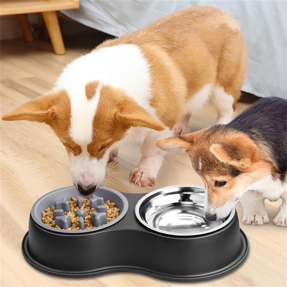 PETSWOL Dog Water And Food Bowls With Slow Feeder - Buy Online at Bargain Bay Australia