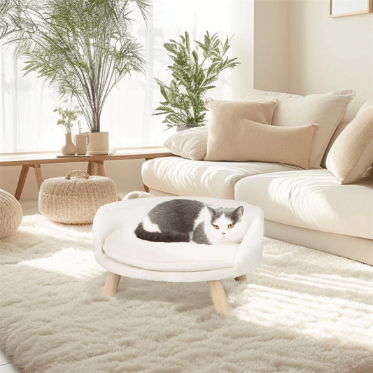 Plush Luxury Cat Bed with Cozy Cushion Pad - Buy Online at Bargain Bay Australia