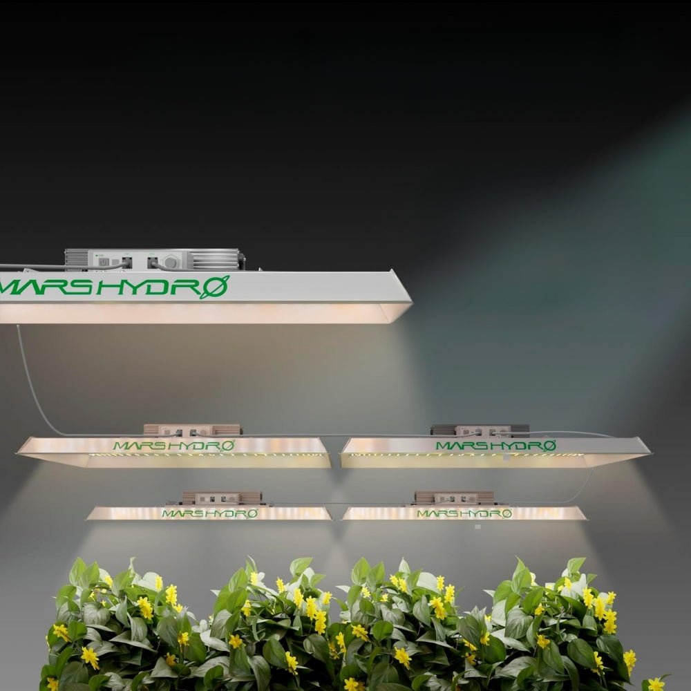 TS 600 LED Grow Light Lamp Sunlike Full Spectrum - Buy Online at Bargain Bay Australia