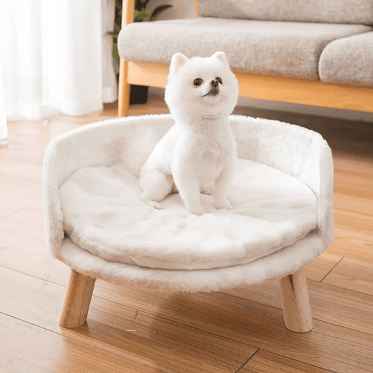 Plush Luxury Cat Bed with Cozy Cushion Pad - Buy Online at Bargain Bay Australia